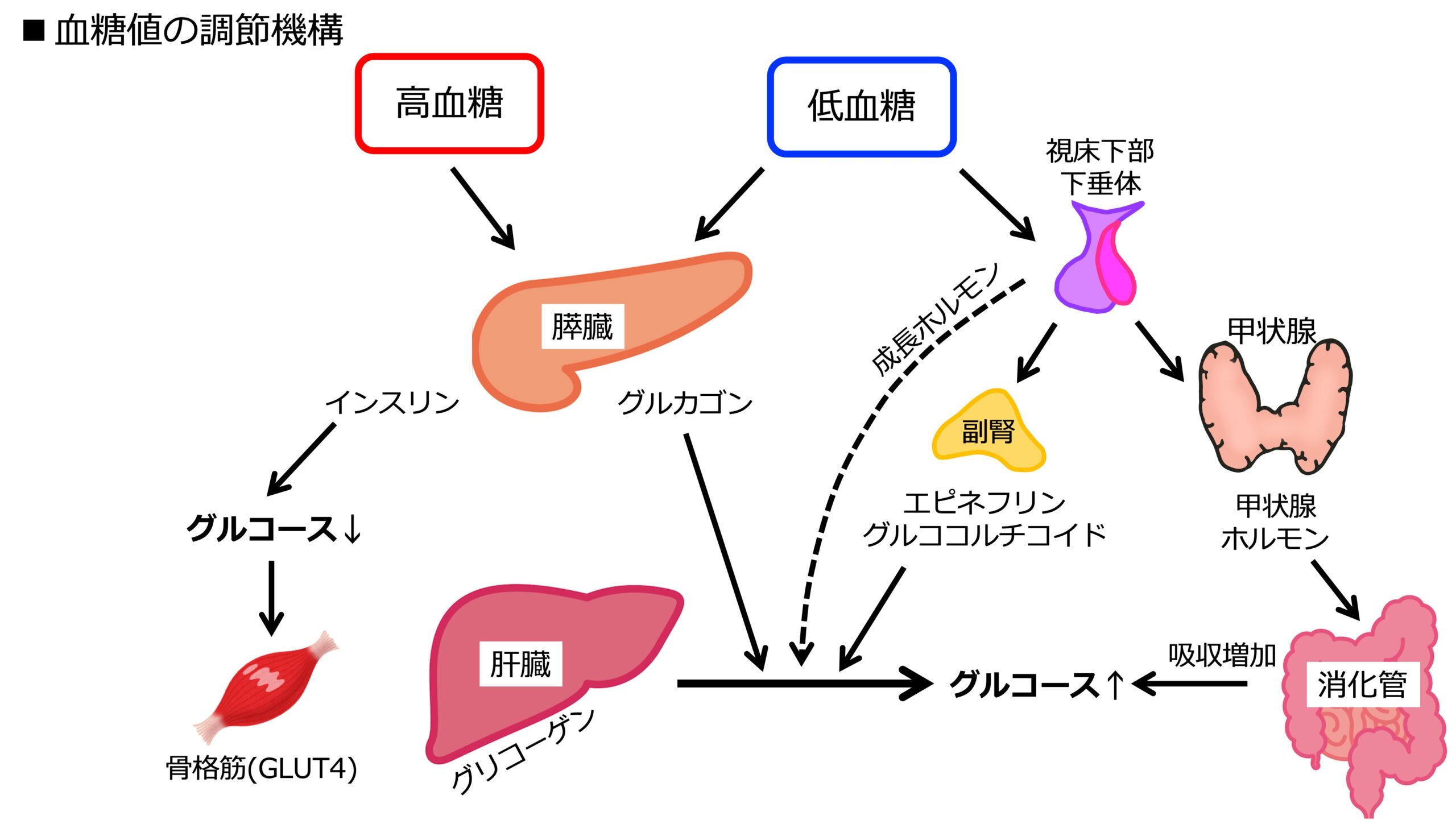 血糖値はどのくらいあるべきですか?
